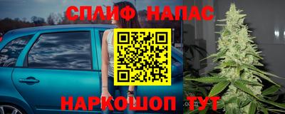 дживик Тара