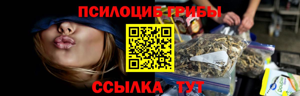 Галлюциногенные грибы GOLDEN TEACHER Архангельск